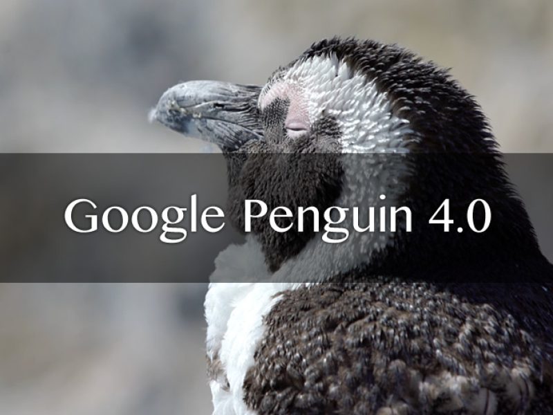 google_penguin