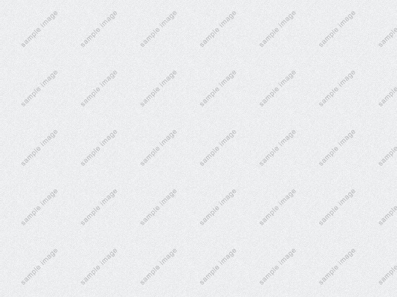 sample-image